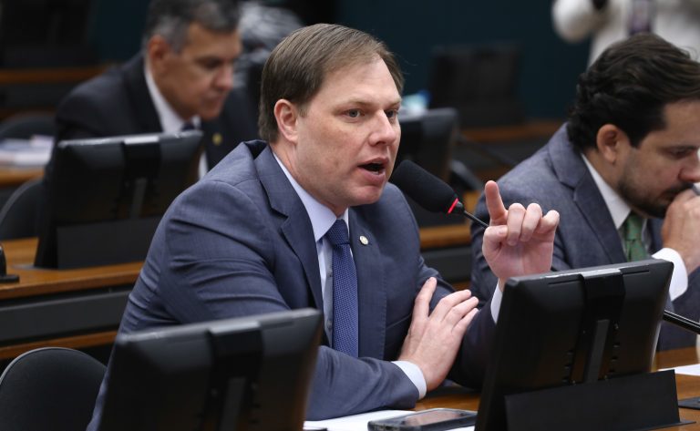 Comissão aprova projeto que proíbe corte de árvore de erva-mate produtora de semente